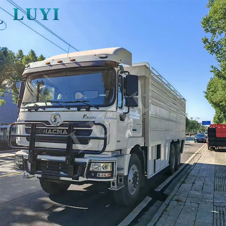 6x4 Shacman Delong F3000 Chassis Heavy-φορτηγό